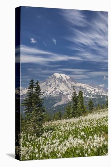 USA, Washington, Mount Rainier NP. Avalanche Lilies and Mount Rainier-Jaynes Gallery-Premier Image Canvas