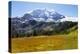 USA, Washington, Mount Rainier NP, Mount Rainier and meadow.-Jamie & Judy Wild-Premier Image Canvas