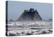 USA. Washington, Olympic NP. Sea stacks along the coast at Cape Alava.-Steve Kazlowski-Premier Image Canvas