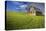 USA, Washington, Palouse. Old Barn in Field of Spring Wheat (Pr)-Terry Eggers-Premier Image Canvas