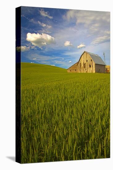 USA, Washington, Palouse. Old Barn in Field of Spring Wheat (Pr)-Terry Eggers-Premier Image Canvas