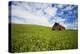 USA, Washington, Palouse. Old, Red Barn in Field of Chickpeas (Pr)-Terry Eggers-Premier Image Canvas