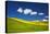 USA, Washington, Palouse. Rolling Hills Covered by Canola and Peas-Terry Eggers-Premier Image Canvas