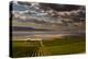 USA, Washington, Pasco. Vineyard in Eastern Washington-Richard Duval-Premier Image Canvas
