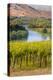 USA, Washington, Red Mountain. Vineyard on with the Yakima River-Richard Duval-Premier Image Canvas