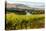 USA, Washington, Red Mountain. Vineyard on with the Yakima River-Richard Duval-Premier Image Canvas