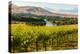 USA, Washington, Red Mountain. Vineyard on with the Yakima River-Richard Duval-Premier Image Canvas
