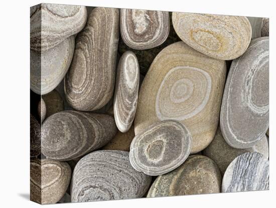 USA, Washington, Seabeck. Close-up of beach stones.-Don Paulson-Premier Image Canvas