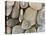 USA, Washington, Seabeck. Close-up of beach stones.-Don Paulson-Premier Image Canvas