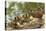 USA, Washington, Seattle. Mallard duck with ducklings on a log.-Steve Kazlowski-Premier Image Canvas