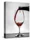 USA, Washington, Spokane. Red wine poured into wine glass creates perfect round drop,-Richard Duval-Premier Image Canvas