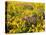 USA, Washington State. Arrowleaf balsamroot and lupine-Terry Eggers-Premier Image Canvas