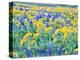 USA, Washington State. Arrowleaf balsamroot and lupine-Terry Eggers-Premier Image Canvas