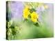 USA, Washington State. Close-up of Arrowleaf Balsamroot and lupine-Terry Eggers-Premier Image Canvas