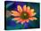 USA, Washington State. Close-up of State Fair Zinnia-Sylvia Gulin-Premier Image Canvas