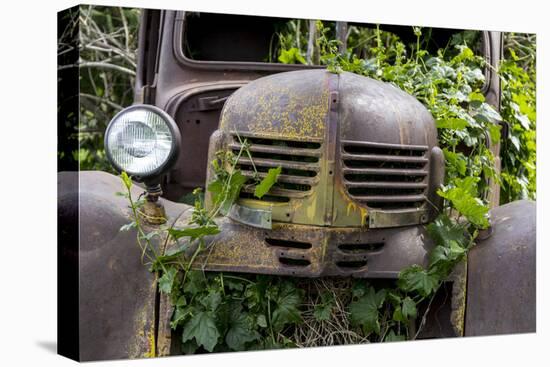 USA, Washington State, Columbia County. Abandoned car just north of Dayton.-Brent Bergherm-Premier Image Canvas