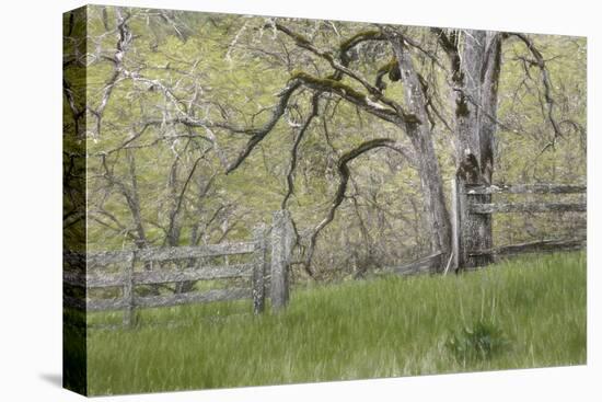 USA, Washington State, Columbia River Gorge. Abandoned pasture-Jaynes Gallery-Premier Image Canvas