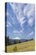 USA, Washington State, Columbia River Gorge. Summer Meadow Landscape-Don Paulson-Premier Image Canvas
