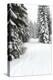 USA, Washington State, Crystal Mountain area. Winter snow.-Savanah Stewart-Premier Image Canvas