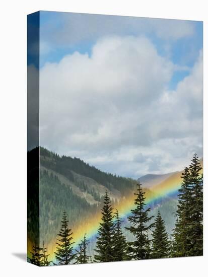 Usa, Washington State, Crystal Mountain. Rainbow in valley through trees.-Merrill Images-Premier Image Canvas