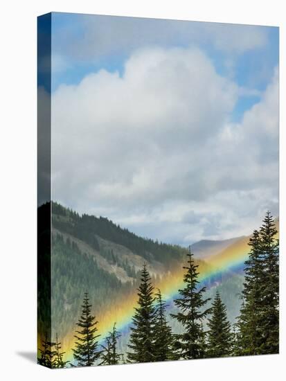 Usa, Washington State, Crystal Mountain. Rainbow in valley through trees.-Merrill Images-Premier Image Canvas
