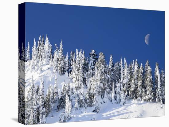 Usa, Washington State, Crystal Mountain. Snow covered trees and moon in blue sky.-Merrill Images-Premier Image Canvas