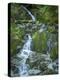 Usa, Washington State, Crystal Mountain. Waterfall at Elizabeth Creek with moss on boulders.-Merrill Images-Premier Image Canvas