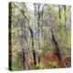 USA, Washington State, Fall City Cottonwoods budding out in the spring along the Snoqualmie River-Sylvia Gulin-Premier Image Canvas