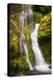 USA, Washington State, Gifford Pinchot National Forest. Panther Creek Falls along Panther Creek.-Christopher Reed-Premier Image Canvas