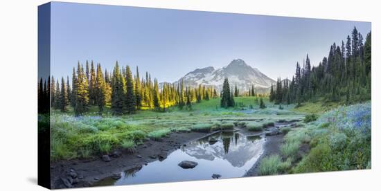 USA. Washington State. Mt. Rainier reflected in tarn amid wildflowers, Mt. Rainier National Park.-Gary Luhm-Premier Image Canvas