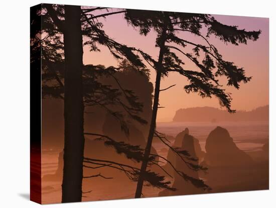 USA, Washington State, Olympic National Park. Sunset at Ruby Beach.-Jaynes Gallery-Premier Image Canvas