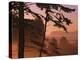 USA, Washington State, Olympic National Park. Sunset at Ruby Beach.-Jaynes Gallery-Premier Image Canvas