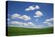 USA, Washington State, Palouse. Green Wheat Field Landscape-Dennis Flaherty-Premier Image Canvas