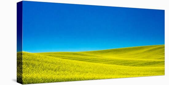 USA, Washington State, Palouse Region. Spring Canola field-Terry Eggers-Premier Image Canvas