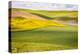USA, Washington State. Palouse Valley, fields of yellow mustard and other crops.-Alison Jones-Premier Image Canvas
