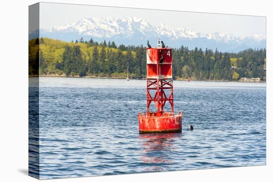 USA, Washington State, Puget Sound. California Sea Lions circling channel marker buoy.-Trish Drury-Premier Image Canvas