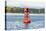 USA, Washington State, Puget Sound. California Sea Lions circling channel marker buoy.-Trish Drury-Premier Image Canvas