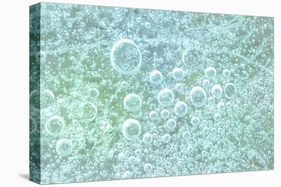 USA, Washington State, Seabeck. Bubbles frozen in ice.-Jaynes Gallery-Premier Image Canvas