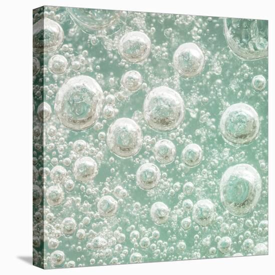 USA, Washington State, Seabeck. Bubbles frozen in ice.-Jaynes Gallery-Premier Image Canvas