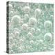 USA, Washington State, Seabeck. Bubbles frozen in ice.-Jaynes Gallery-Premier Image Canvas