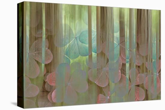 USA, Washington State, Seabeck. Collage of Oxalis and Trees-Don Paulson-Premier Image Canvas