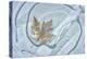 USA, Washington State, Seabeck. Frosty maple leaf on ice.-Jaynes Gallery-Premier Image Canvas