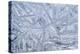 USA, Washington State, Seabeck. Patterns on Ice-Don Paulson-Premier Image Canvas