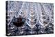 USA, Washington State, Seattle. Red wine in row of glasses.-Richard Duval-Premier Image Canvas