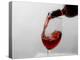 USA, Washington State, Seattle. Red wine pours into a glass.-Richard Duval-Premier Image Canvas