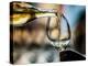 USA, Washington State, Seattle. White wine tasting-Richard Duval-Premier Image Canvas