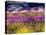 USA, Washington State, Sequim, Lavender Field-Terry Eggers-Premier Image Canvas