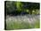 USA, Washington State, Sequim, Lavender Field-Terry Eggers-Premier Image Canvas