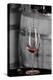 USA, Washington Woodinville. Red wine pouring into is captured in mid-air-Richard Duval-Premier Image Canvas