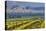 USA, Washington, Yakima. View from One of the Red Willow Vineyards-Janis Miglavs-Premier Image Canvas